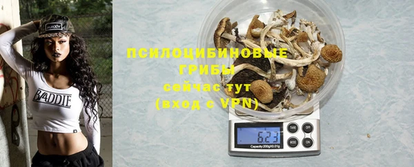 бошки Алзамай
